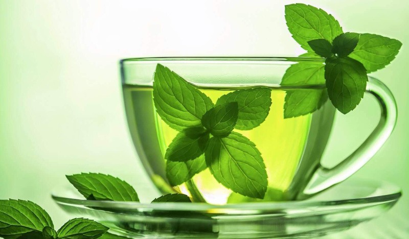 Зеленый чай с мятой: польза для организма и рецепты