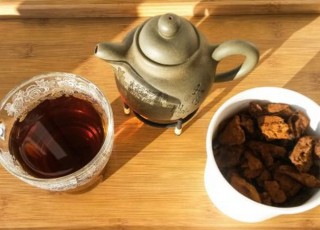 Чай из чаги: польза и противопоказания