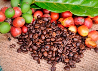 Ферментация кофе: описание технологии и особенности