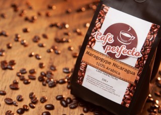 Кофе Марагоджип: особенности и территория выращивания
