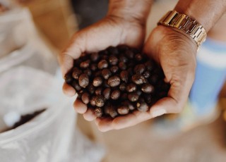 Кофе Спешиалти: выращивание и производство