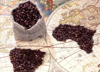 История появления кофе: происхождение и распространение напитка