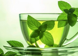 Зеленый чай с мятой: польза для организма и рецепты
