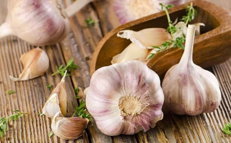 Чеснок