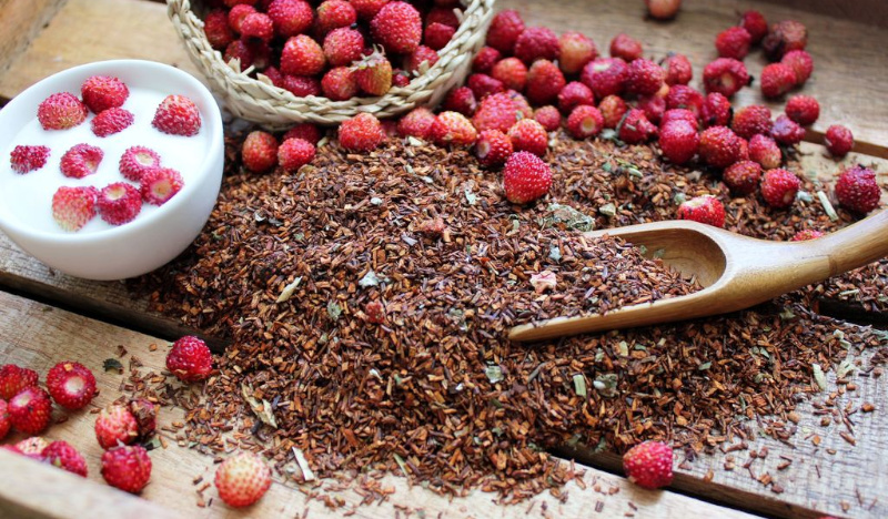 Ройбуш земляничный