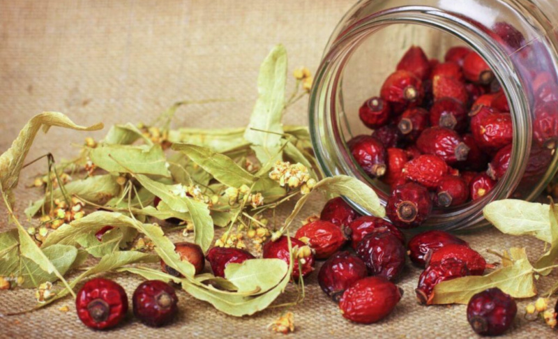 Сушка шиповника